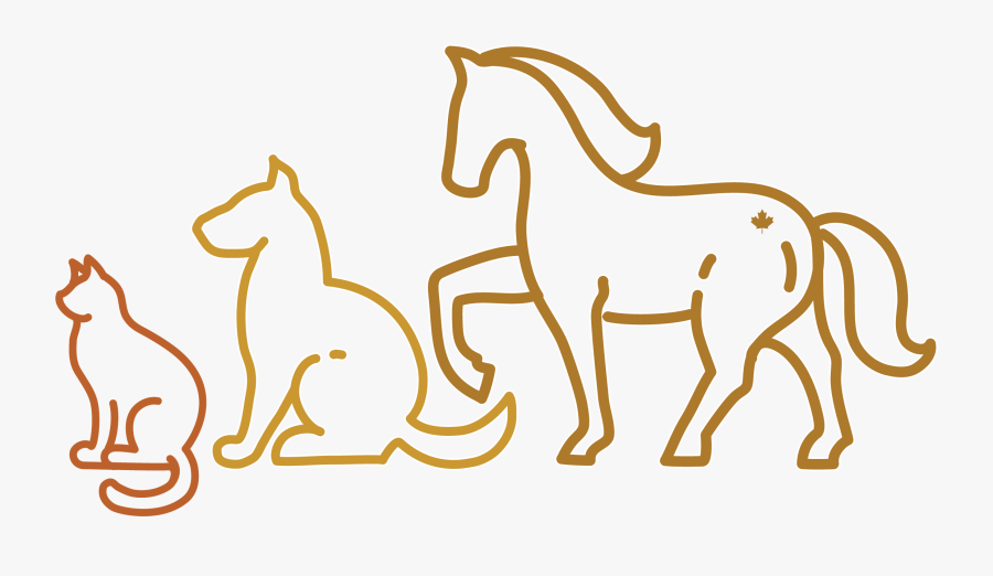 Line Drawing Of Animals - Sorrel, Transparent Clipart