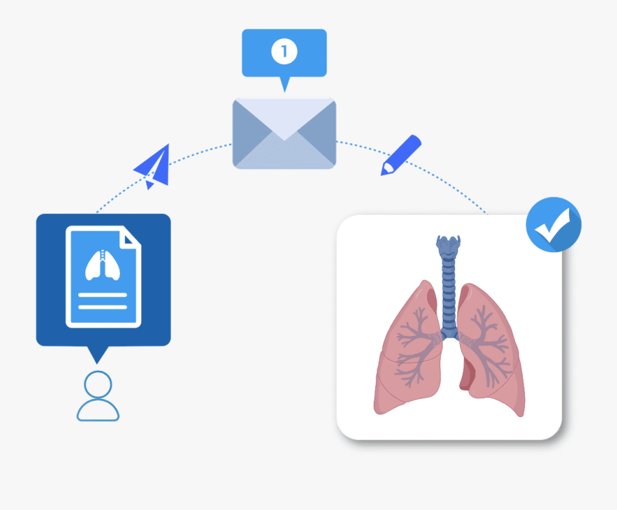Diagram, Transparent Clipart