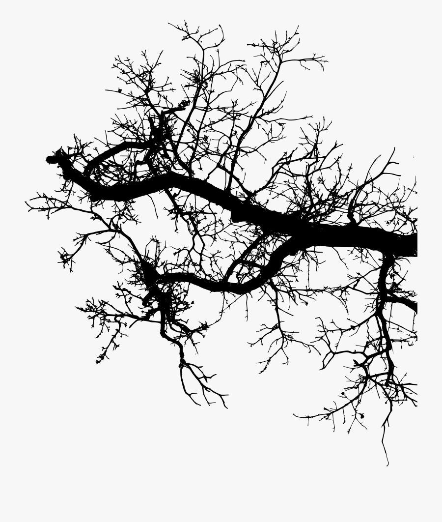 Twig Branch Silhouette Drawing - Picsart Tree Pngs, Transparent Clipart