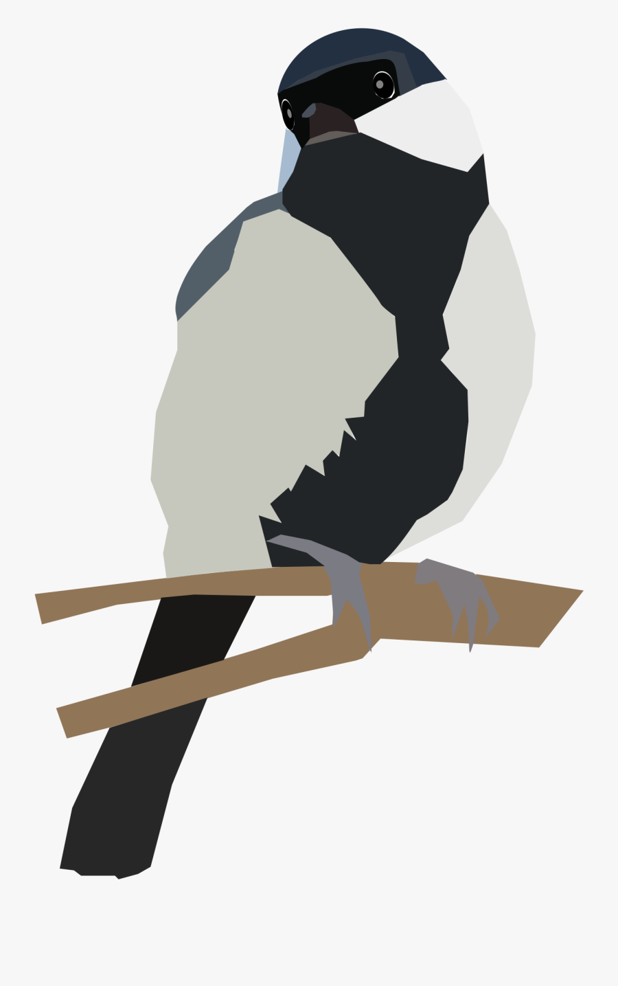 Japanese Tit On A Twig Clip Arts - Portable Network Graphics, Transparent Clipart