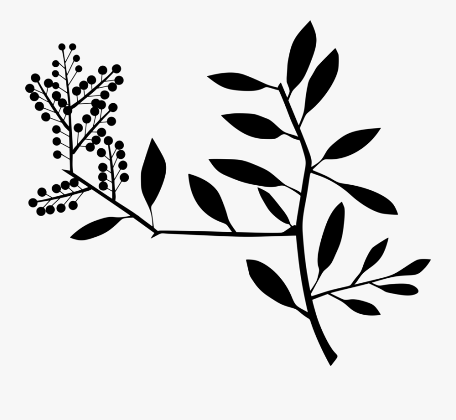 Plant,flora,leaf - Icon, Transparent Clipart