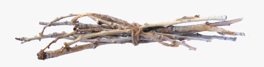 The Thirst Is Real - Bundle Of Sticks Transparent, Transparent Clipart