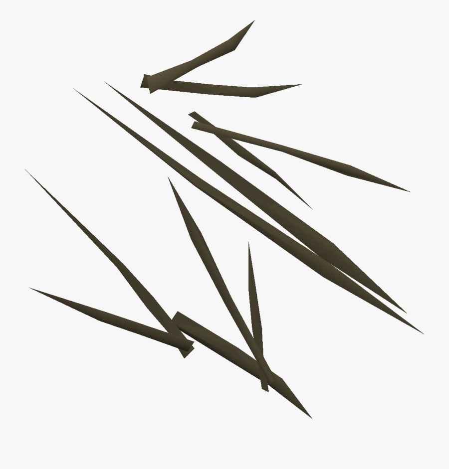 Twig, Transparent Clipart