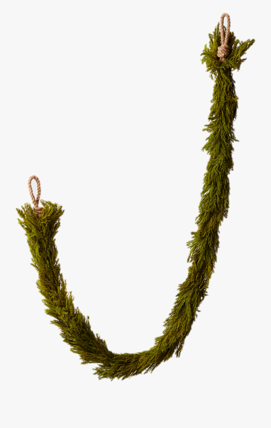 Transparent Holly Garland Png - Hornwort, Transparent Clipart