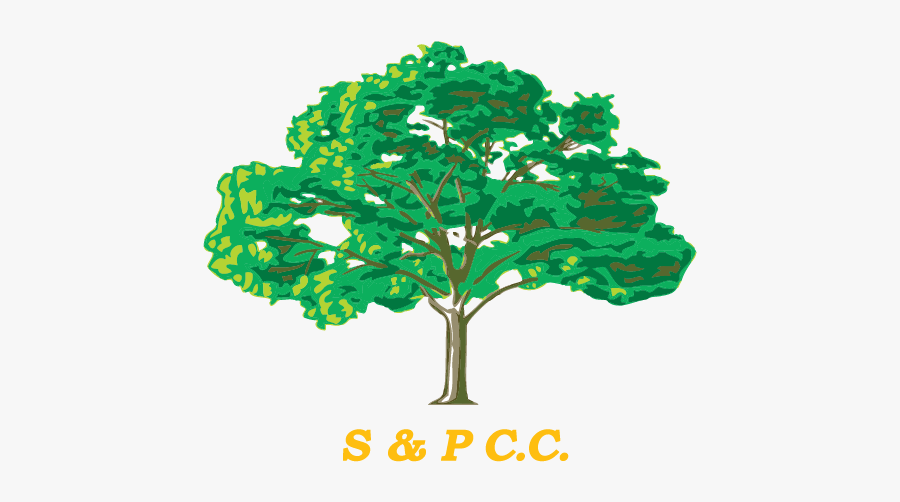 Family Tree 4 Members Template, Transparent Clipart