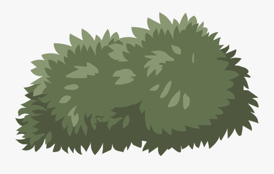 Bush Shrub Green Nature Plant Lush Landscape - Transparent Background Bush Clipart, Transparent Clipart