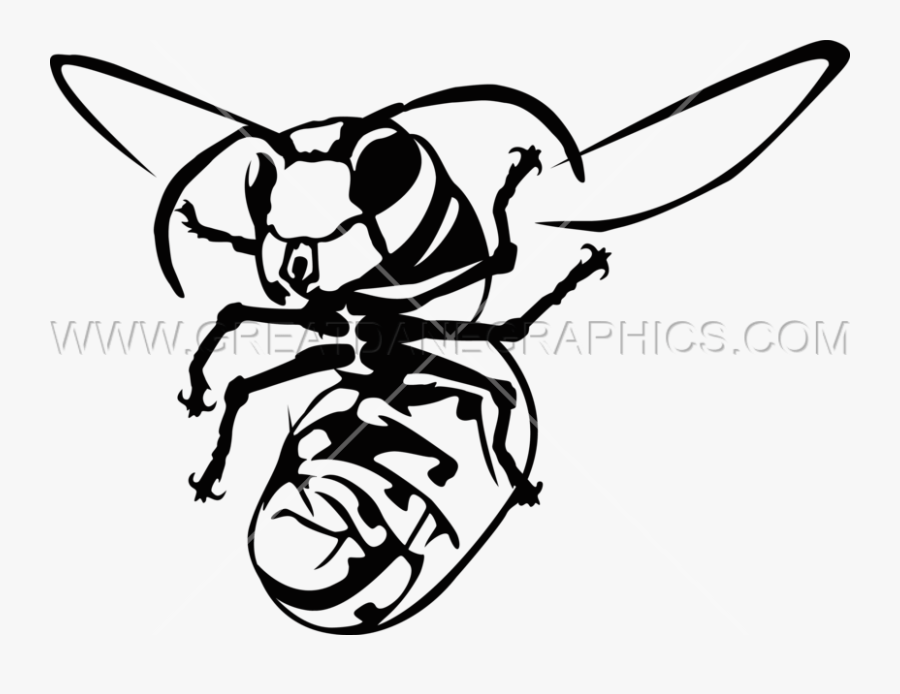 Bee, Transparent Clipart