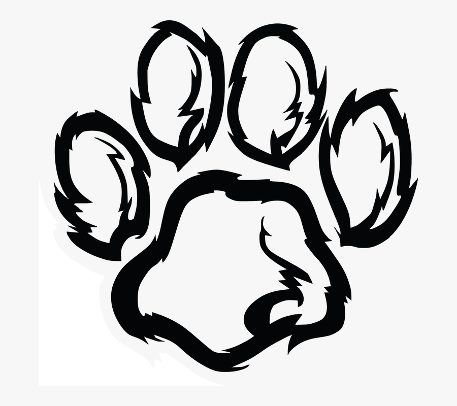 Paw Footprint Wildcat Cat Wildlife - Wildcat Paw Print, Transparent Clipart