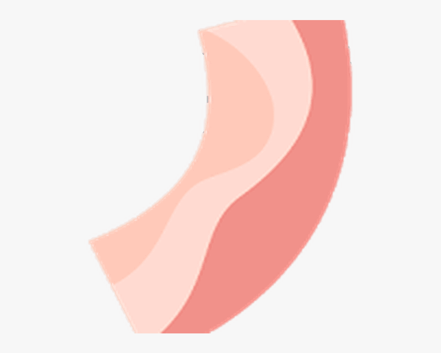 Png Download , Png Download - Bacon The Game, Transparent Clipart