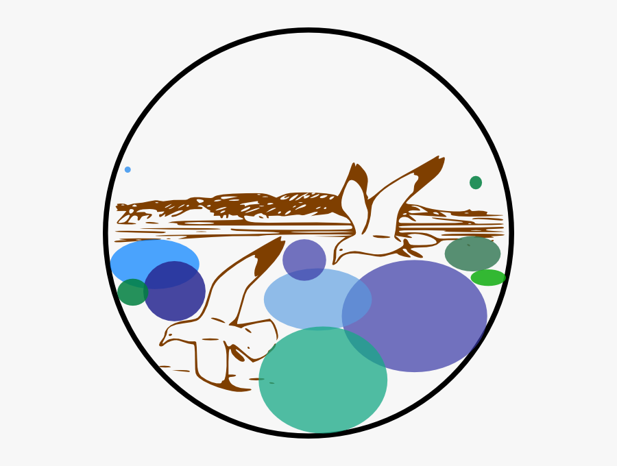 Seagull Clipart Black And White, Transparent Clipart