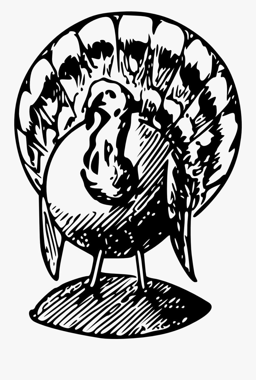 Cute Turkey Clipart Black And White - Black And White Turkeys Clip Art, Transparent Clipart
