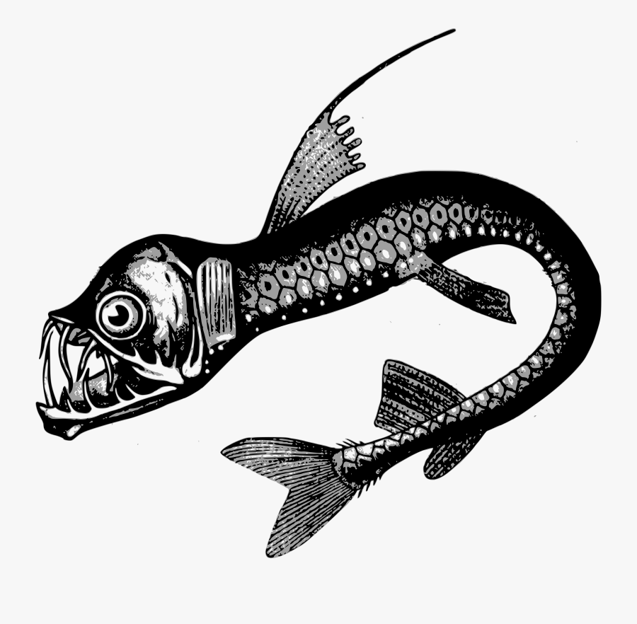 Clipart - Deep Sea Creatures Drawings, Transparent Clipart