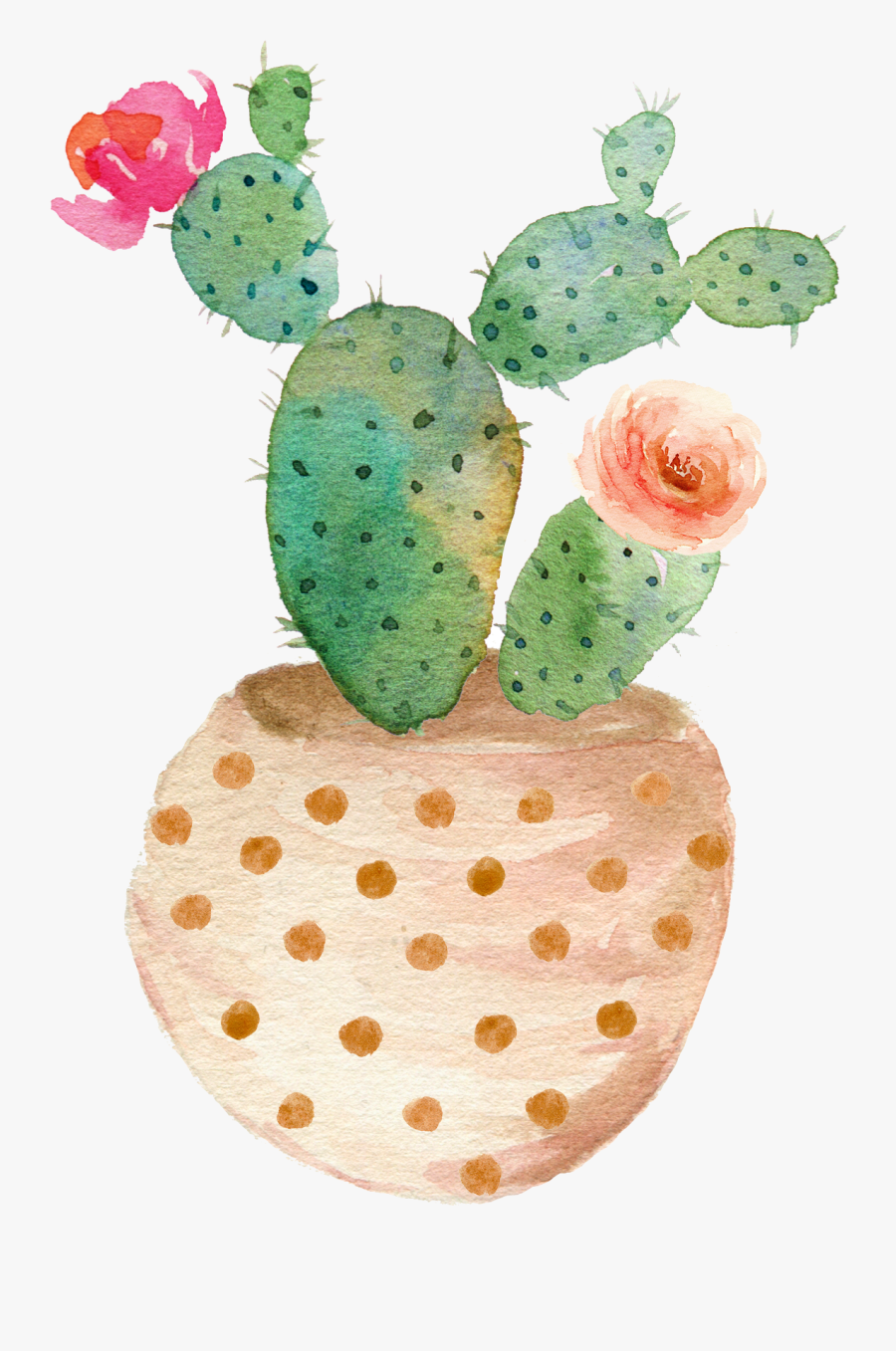 Cactus Vector Transparent Library Watercolor Clipart - Watercolor Cactus Png, Transparent Clipart