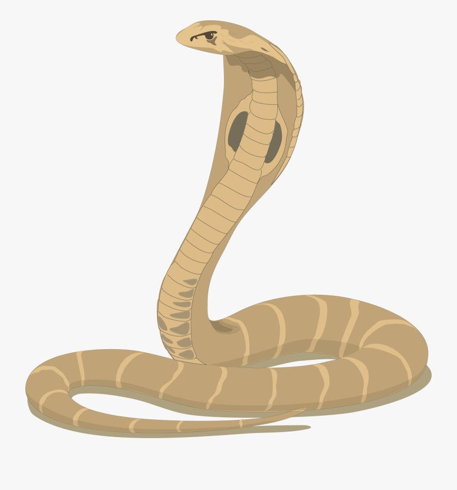 Cobra Snake Cartoon - Happy Nag Panchami, Transparent Clipart