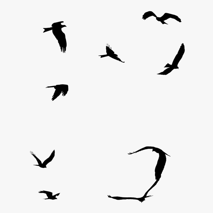 Ocean Birds Png File - Sea Birds Flying Silhouette, Transparent Clipart