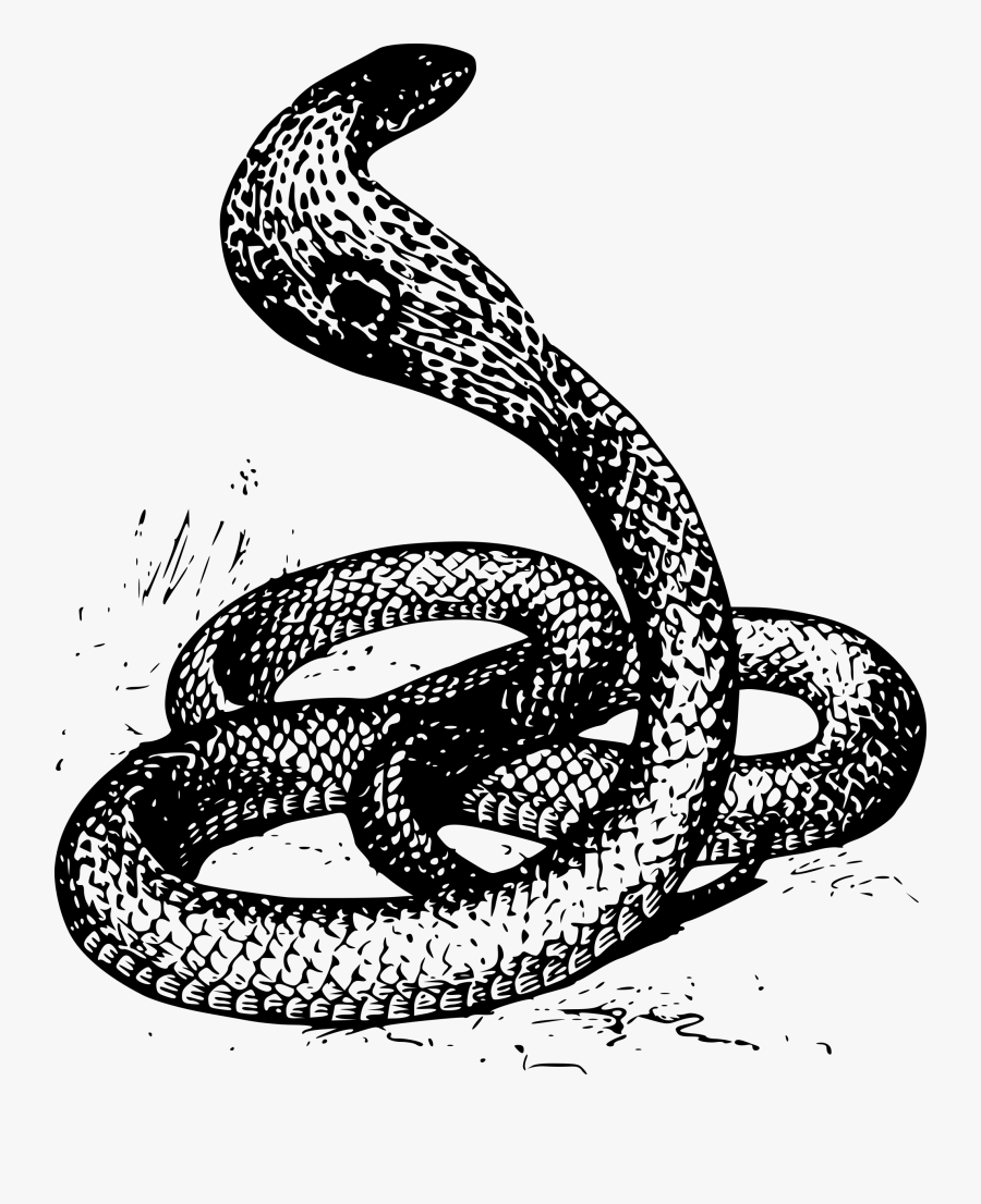 Clipart - Snake Drawing Png, Transparent Clipart