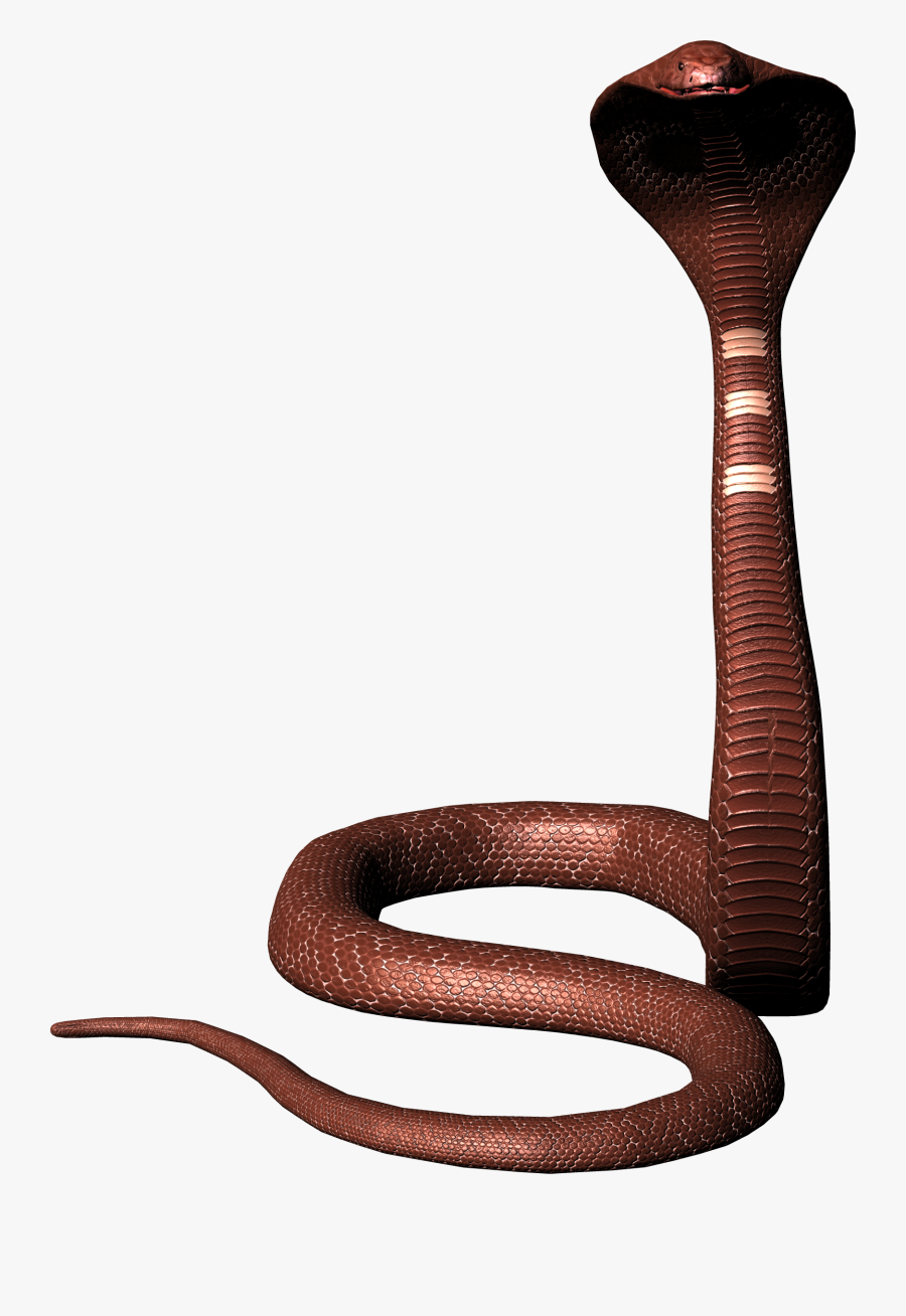 Snake Clip Art, Transparent Clipart