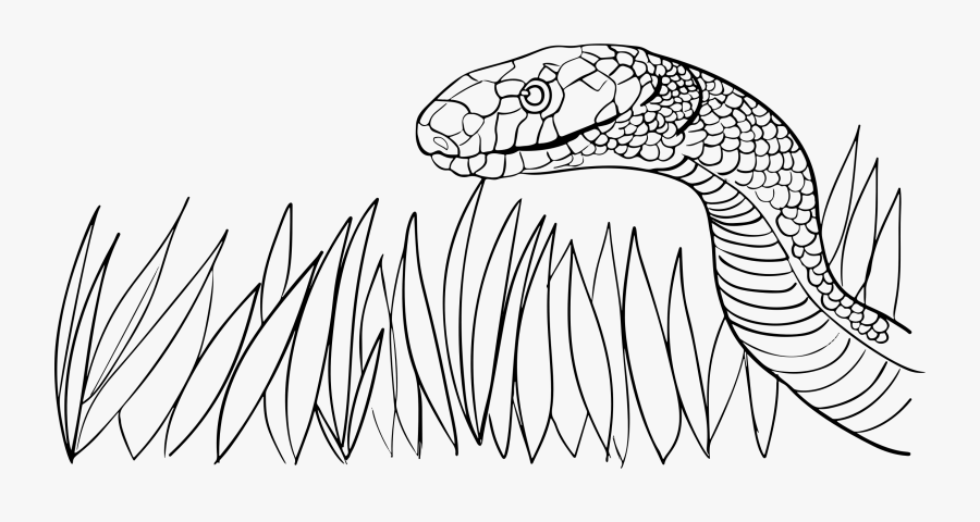 Snake Clipart Vintage - Grass Snake Black And White, Transparent Clipart