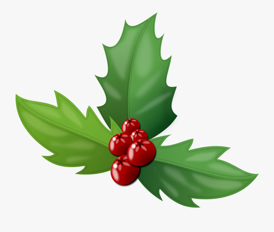 Pictures Of Holly - Holly Berry Transparent, Transparent Clipart