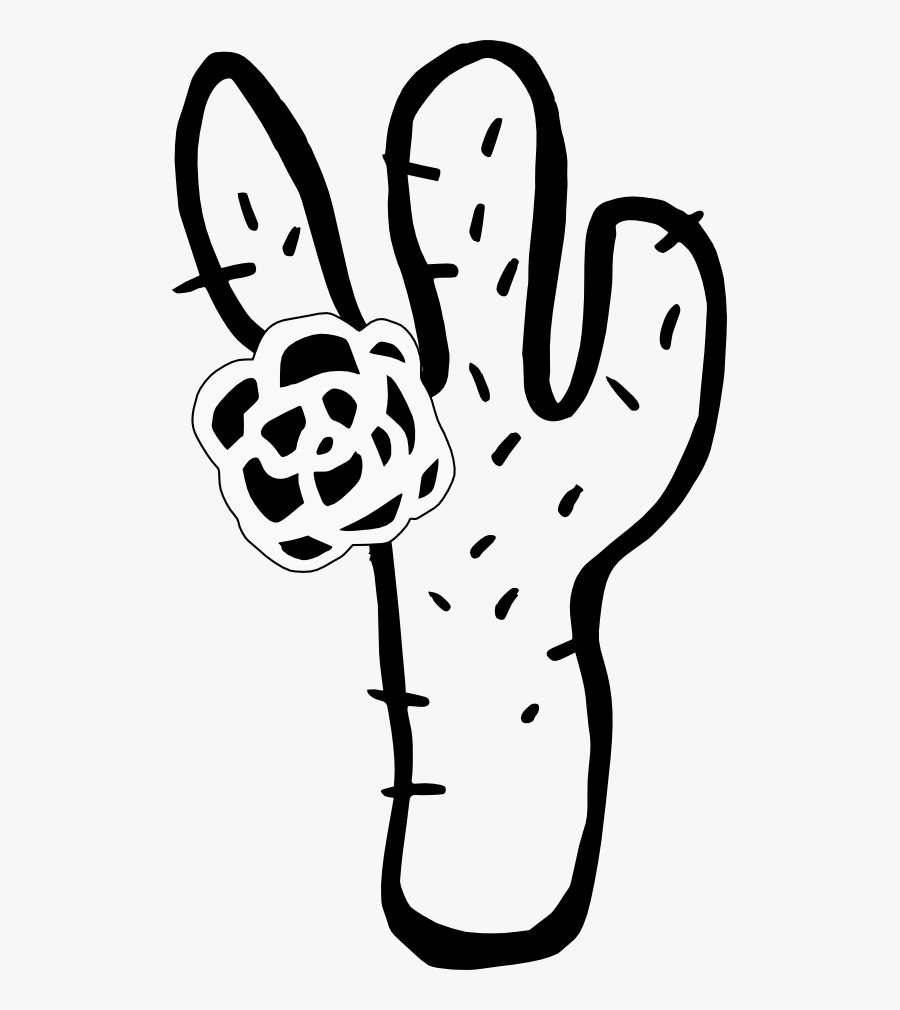 Cactus 5 Black White Line Art Flower 555px - Imagenes Png En Blanco Y Negro, Transparent Clipart