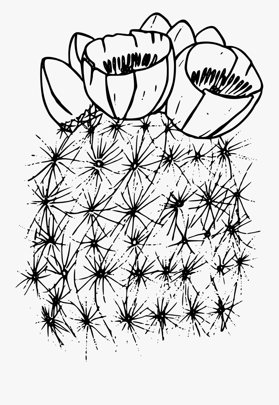 Simson"s Ball Cactus - Cactus Coloring Page, Transparent Clipart