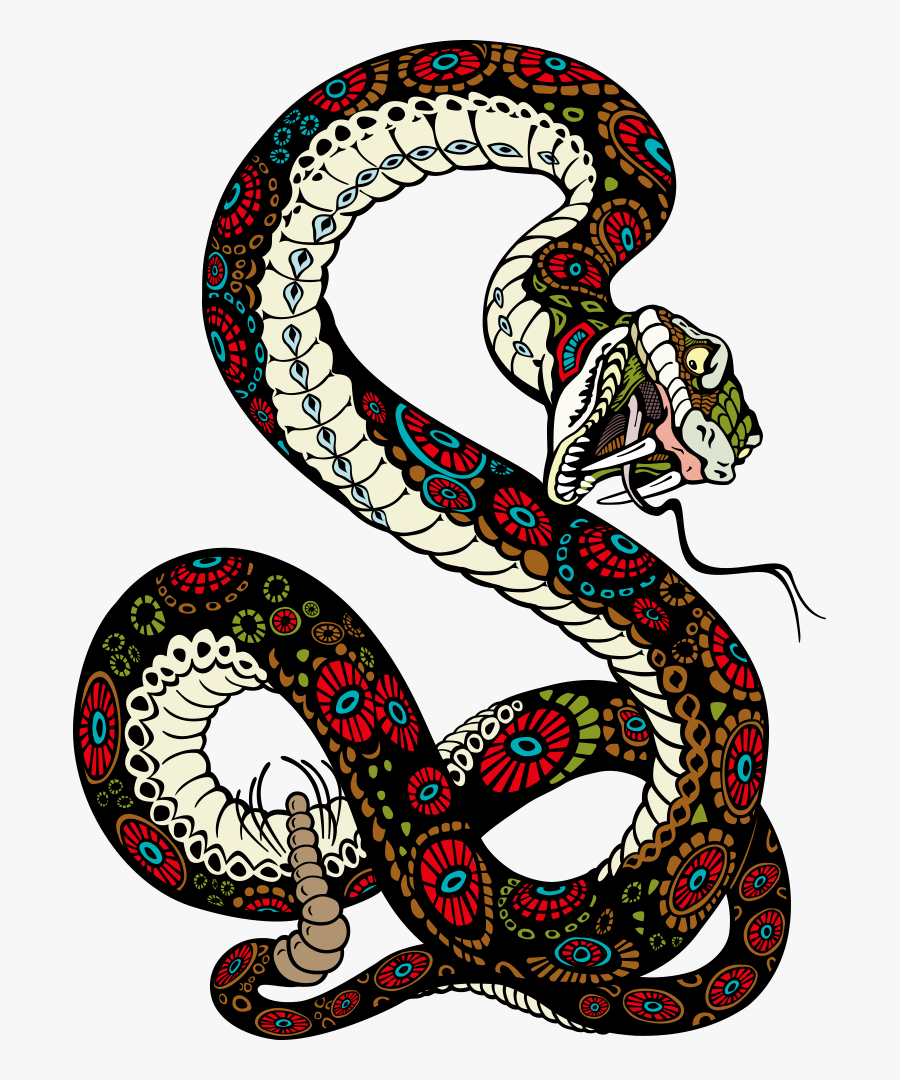 Tiger Lion Vector Snake Illustration Free Transparent - Snake And Tiger, Transparent Clipart