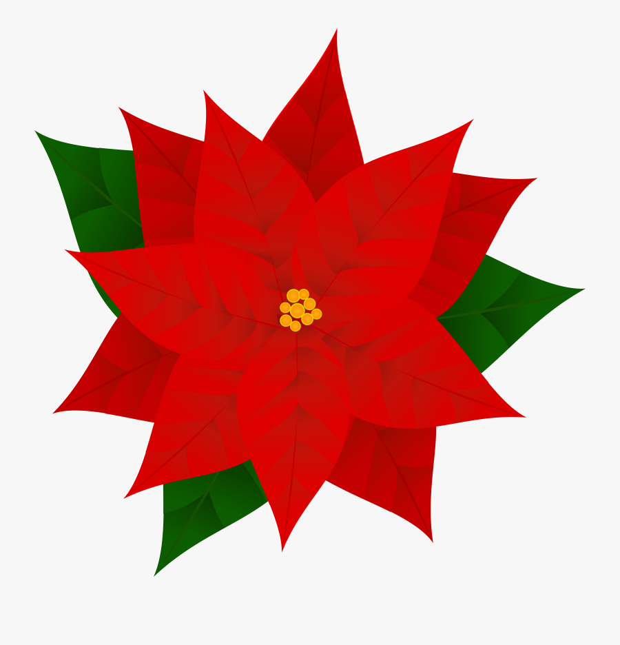Holly Clipart Poinsettia - Clip Art Poinsettia, Transparent Clipart