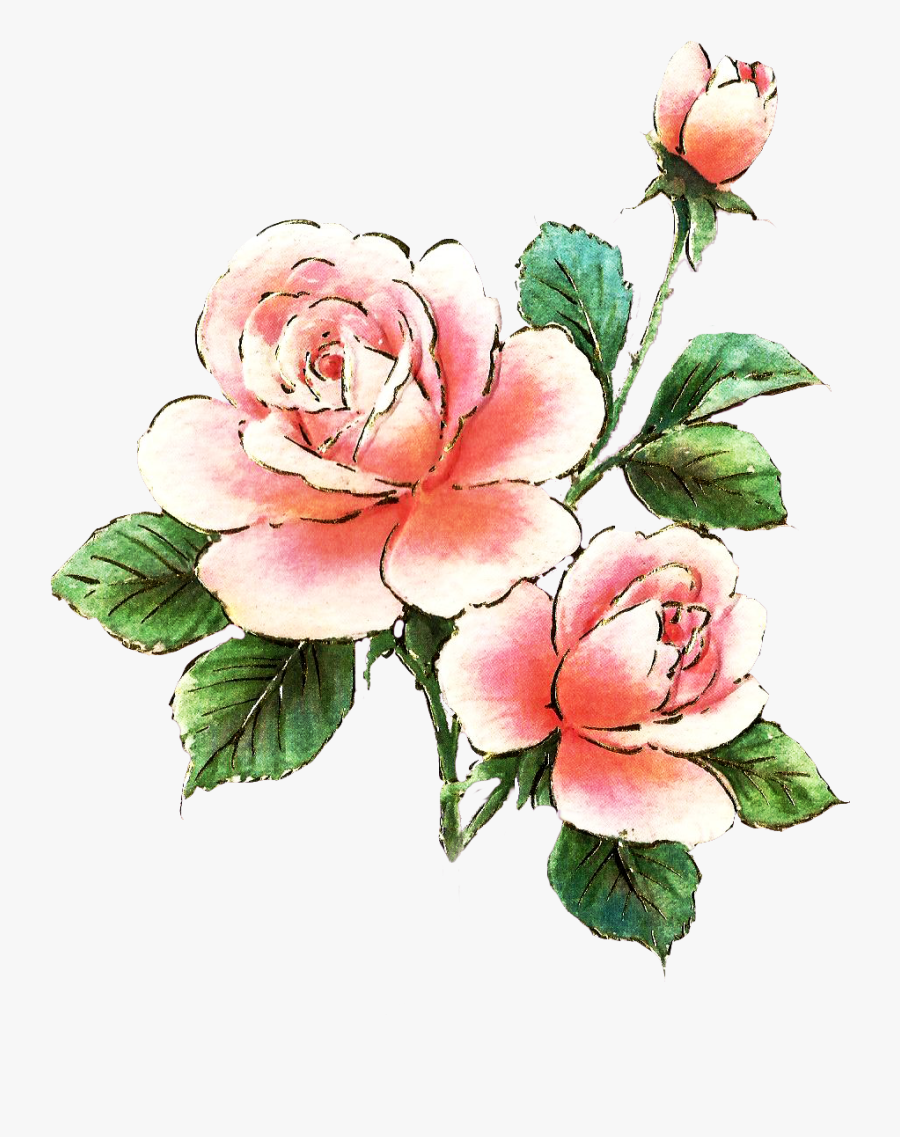 Transparent Flower Bed Png - Rose, Transparent Clipart