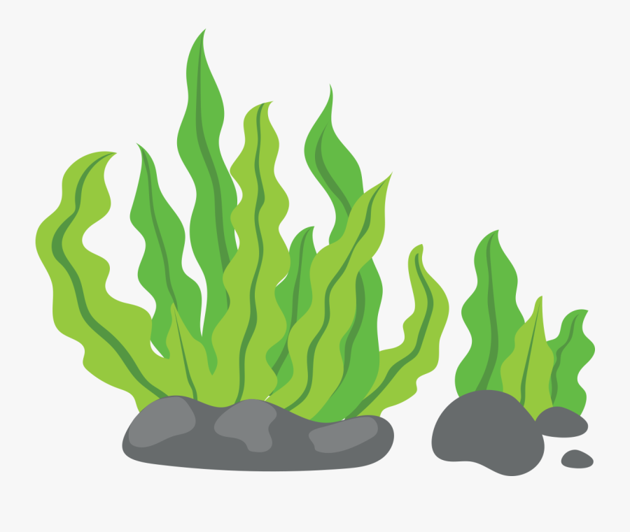 Seaweed Clip Art - Seaweed Png, Transparent Clipart