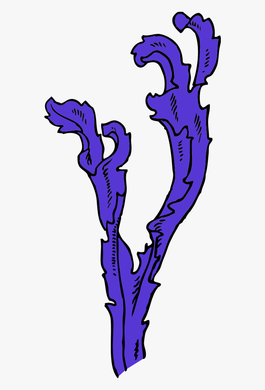 Seaweed Clipart - Clip Art, Transparent Clipart