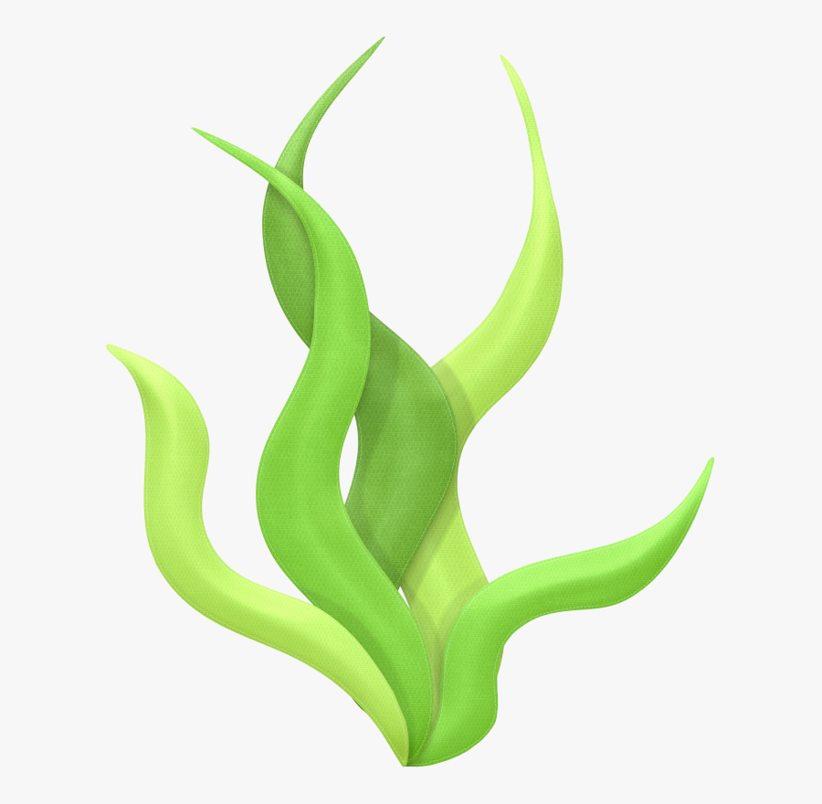 Algas Do Mar Png, Transparent Clipart