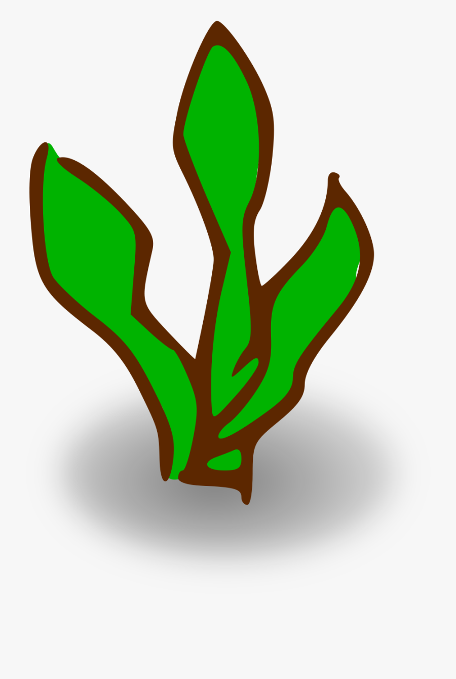 Plant,grass,leaf - Kelp Clipart Png, Transparent Clipart