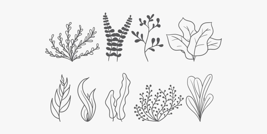 Sea Weed Vector Icons - Cách Vẽ Rong Biển, Transparent Clipart