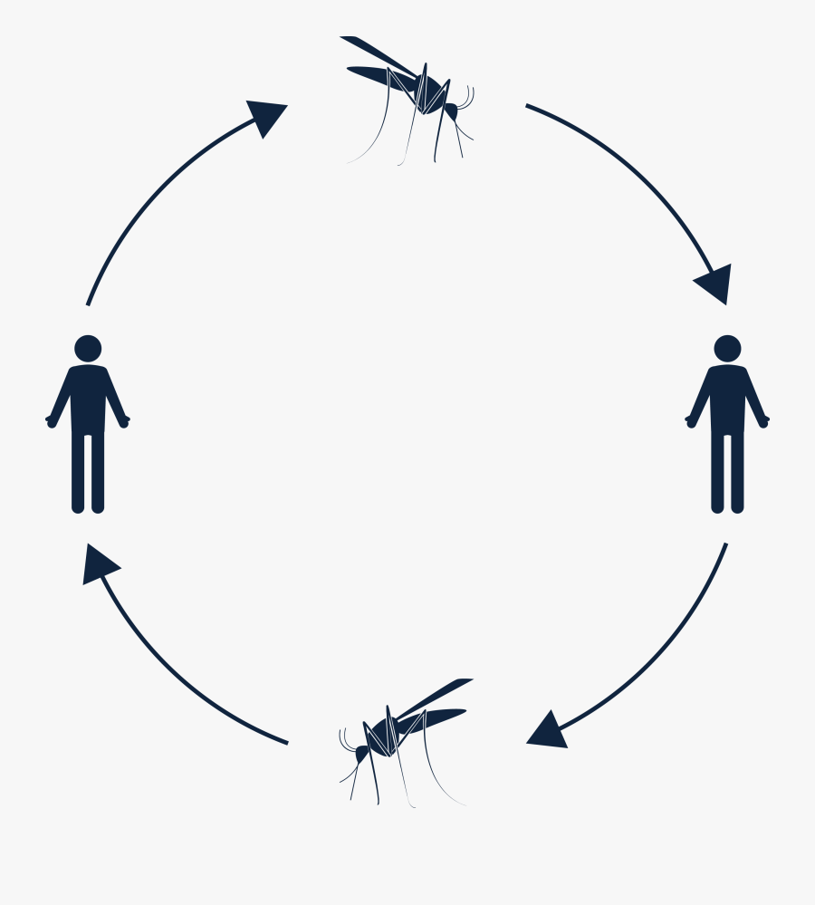 01 Pm 32159 Chills 1/15/2016 - Silhouette, Transparent Clipart
