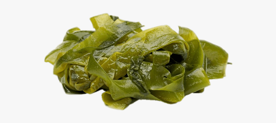 Seaweed Leaves - Icelandic Kelp, Transparent Clipart