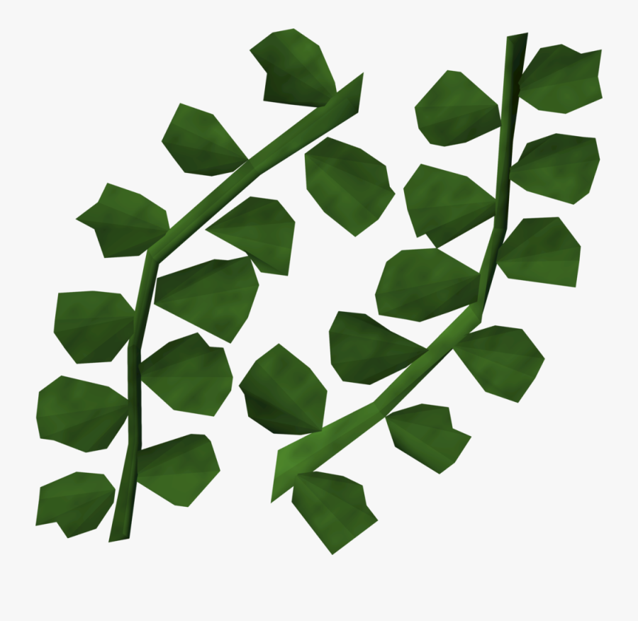 Seaweed Detail, Transparent Clipart