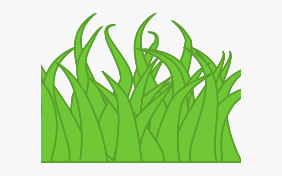 Seaweed Clipart Realistic - Does A Lion's Life Depend On Producers, Transparent Clipart