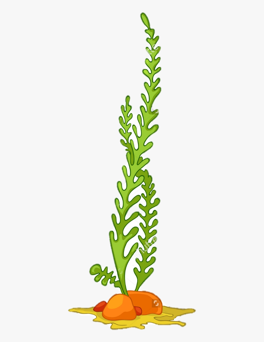 Clip Library Sea Plants Fabulous Kimo - Sea Plant Cartoon Png, Transparent Clipart