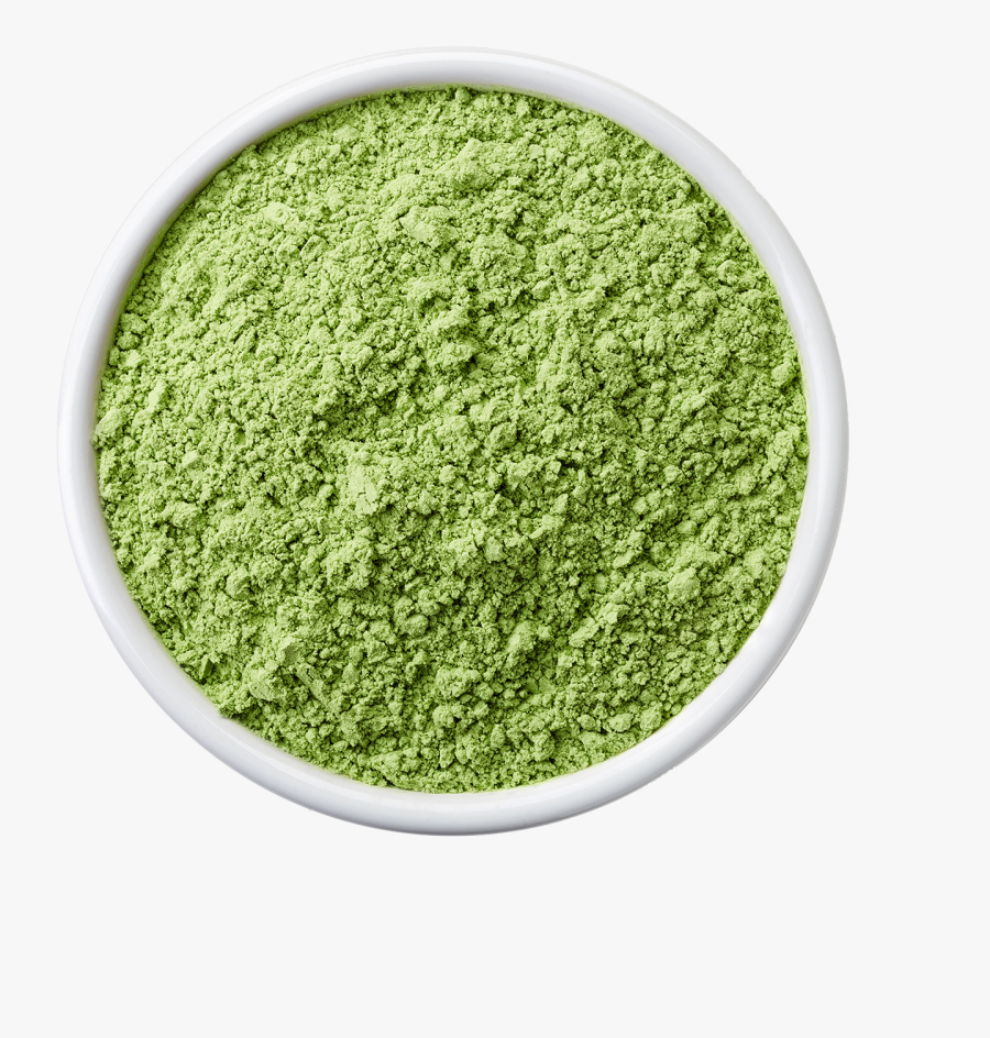 Seaweed Research, Transparent Clipart