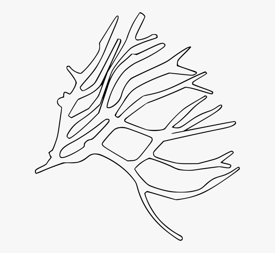 Monochrome - Clipart Sea Plants Black And White Png, Transparent Clipart