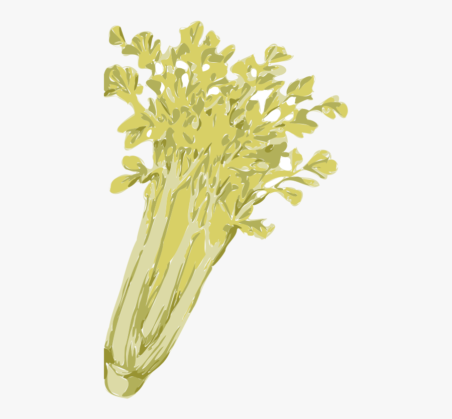 Celery - Seledri Vector Png, Transparent Clipart
