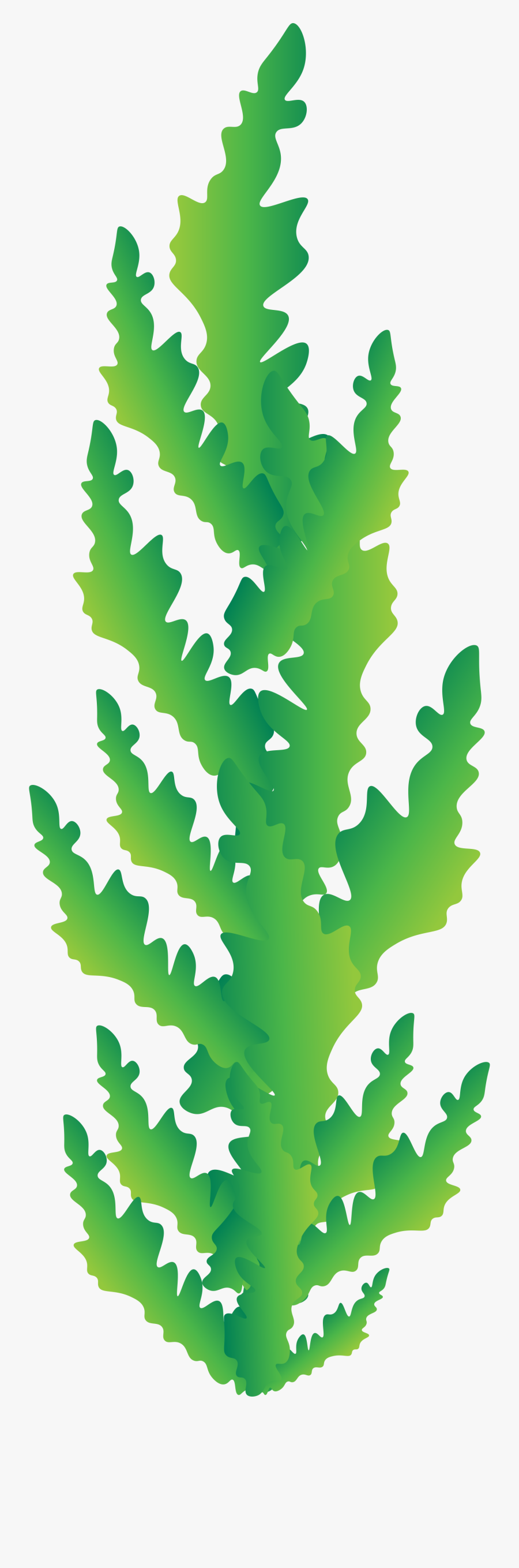 Seaweed, Transparent Clipart