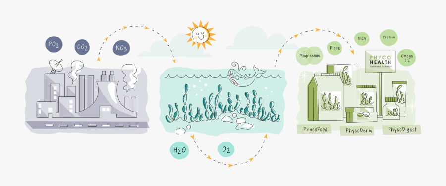 We Capture These And Harness Their Nutritional Power - Illustration, Transparent Clipart