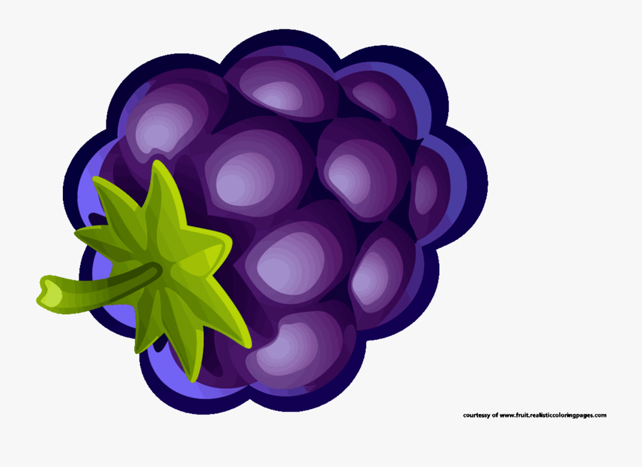 Blueberries Clipart - Blueberry Free Clipart, Transparent Clipart