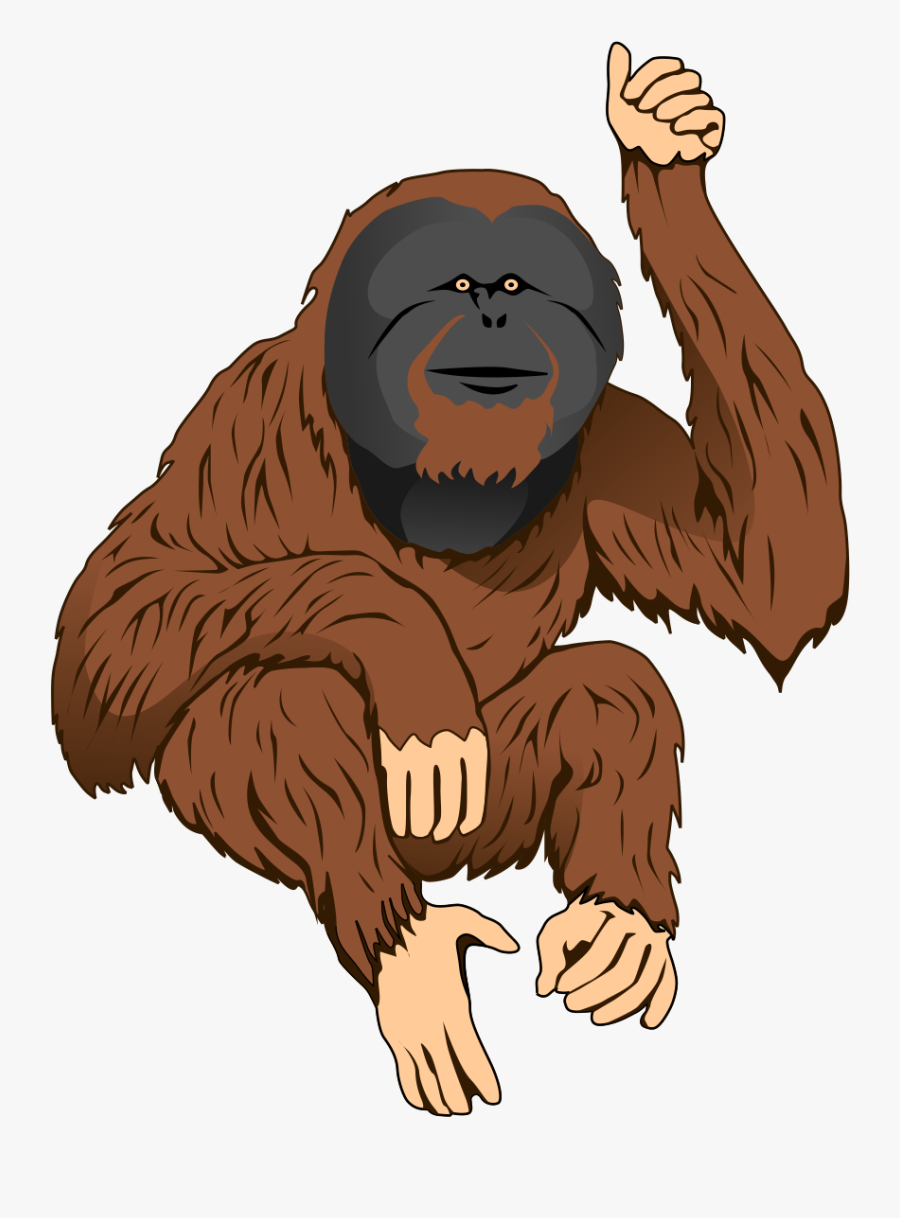 Transparent Gorilla Face Clipart - Orangutan Clip Art, Transparent Clipart