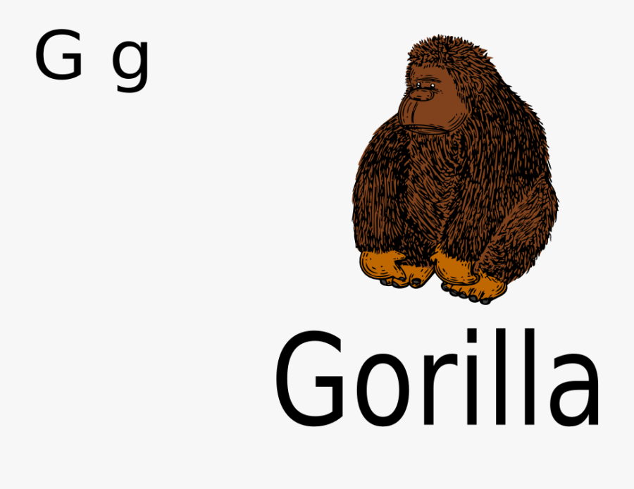 G For Gorilla - Good Luck On Your Act, Transparent Clipart