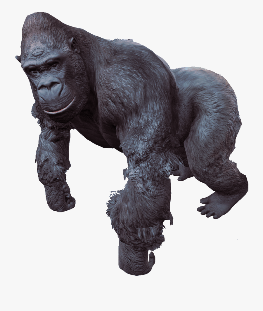 Gorilla - Gorilla Transparent Background, Transparent Clipart