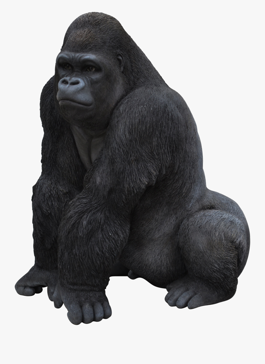 Gorilla - Горилла Пнг, Transparent Clipart