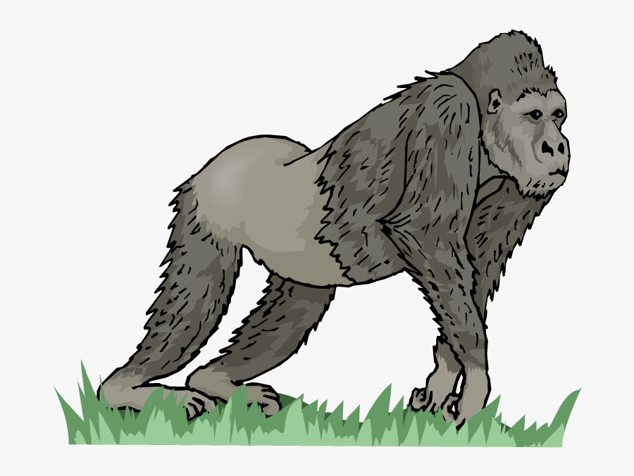 Long Vowel Ape, Transparent Clipart