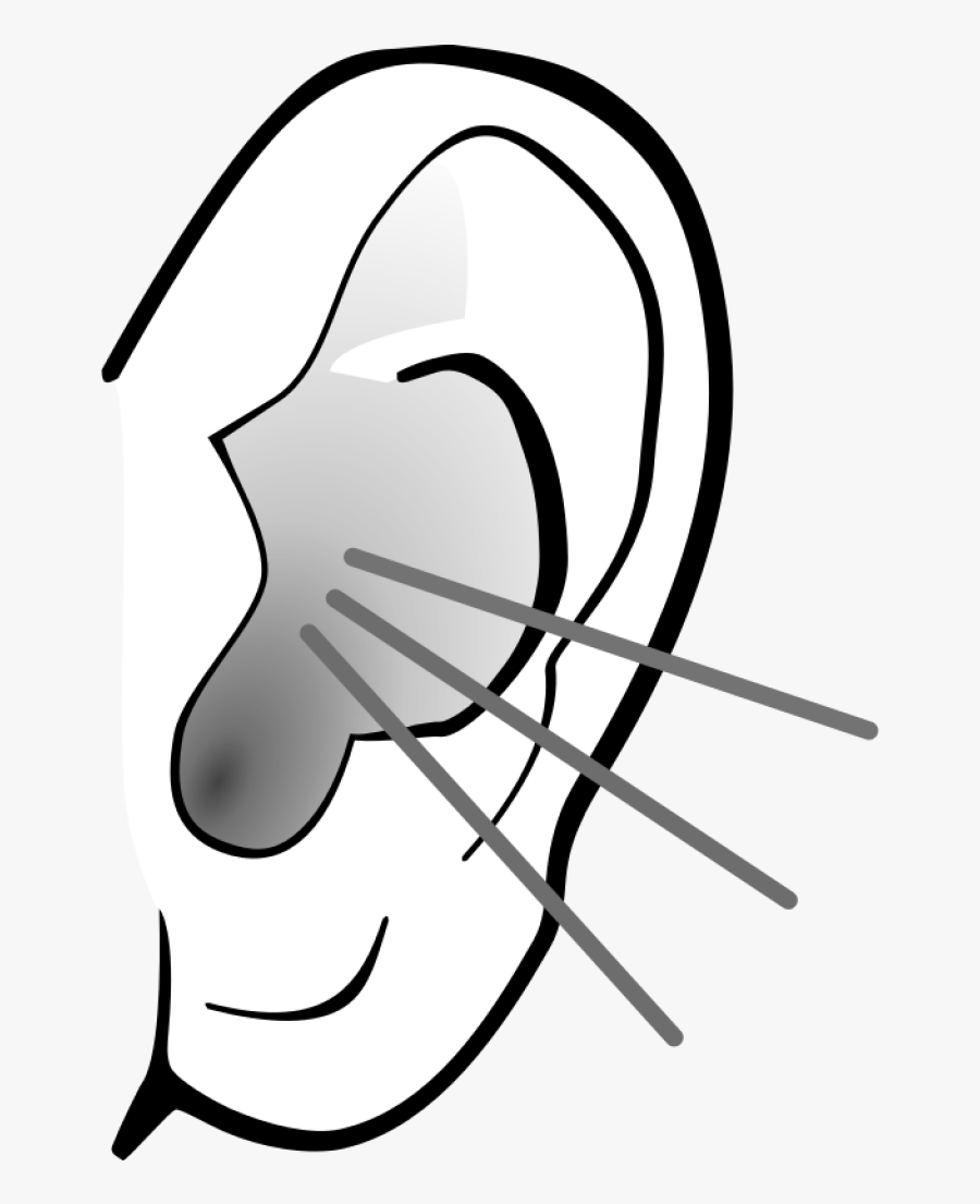 Listening Ear Clipart - Ear Clipart Black And White, Transparent Clipart